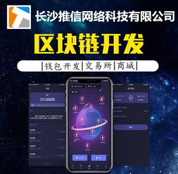 软件外包服务中源码与开发模板的价值与差异解析